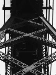 The Imperial Concubi