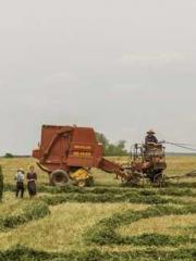 lt;Natural Disasters