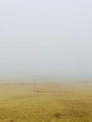 The Wife of My Heart