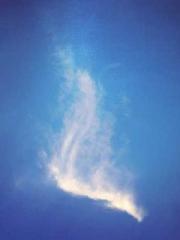 Super Dimensional Me