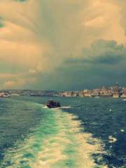 A Lifetime of Captiv