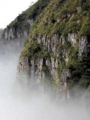 The Realm of the Dao