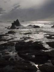 Transmigration: Feel