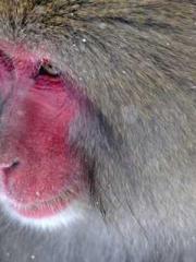 My projections are a