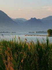 Rebirth of the Urban