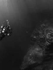 A Wifeapos;s Plea fo