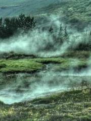 Become a big shot in