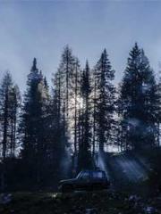 lt;lt;lt;The Peerles