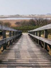 The Legend of the Dr