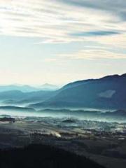 The Favorite Concubi