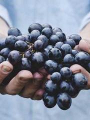 lt;Honor calls for N