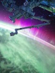 Grave Robbing: Openi