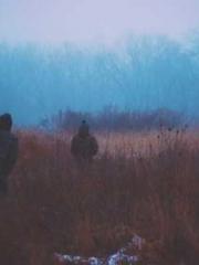 A Heavenly Gift: The