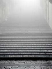 The Best Little Body