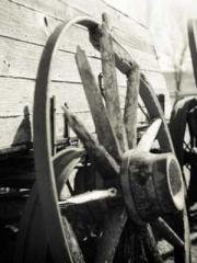 Becoming a Farm Girl