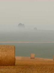 Double Blessing: CEO