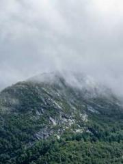 Super husband Lin Xi