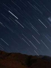 The Favorite Concubi