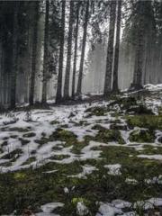 lt;Ye Qingyun, Tiany