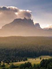 Cultivating My Empre